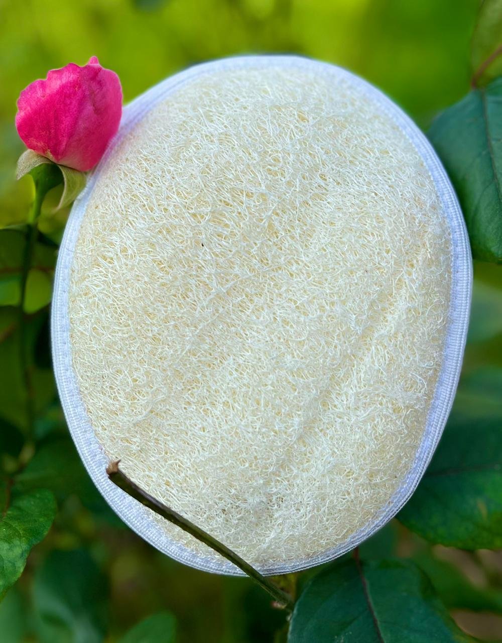 Exfoliating Loofah Pad made from natural Egyptian loofah fiber